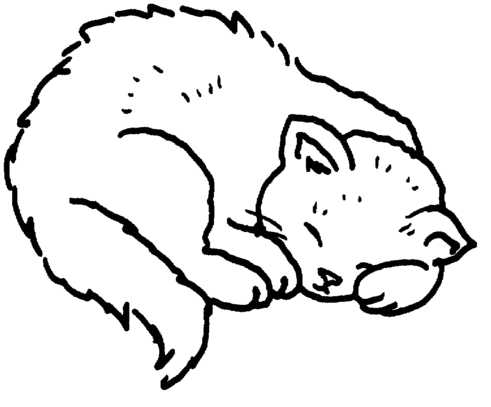 Logo Branwum Tech
